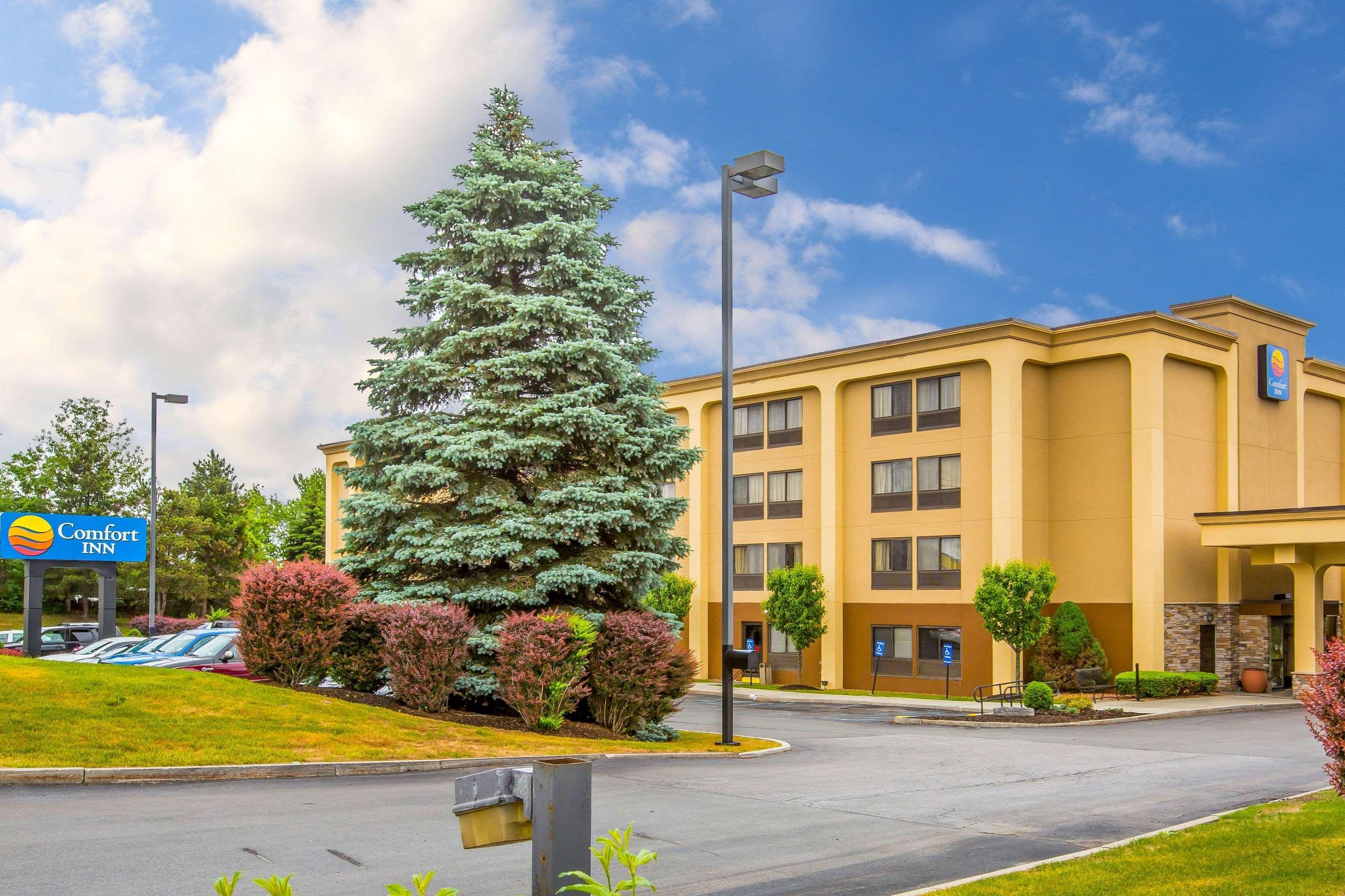 Comfort Inn Latham/Albany North Екстер'єр фото